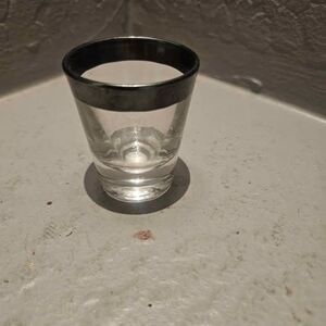 MCMDorothy Thorpe Silver Band Glass Shot Glass Barware